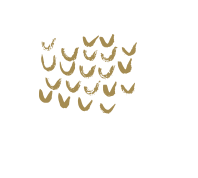 Our Stort art of COU COU By Oberoi